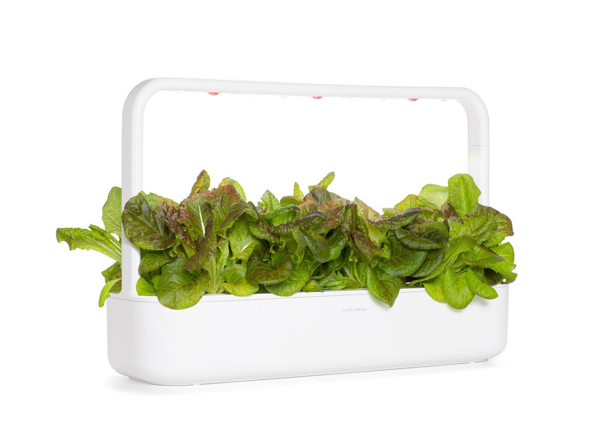 Red Lettuce Plant Pods 9-pack / Red Lettuce Plant Pods 9-pack