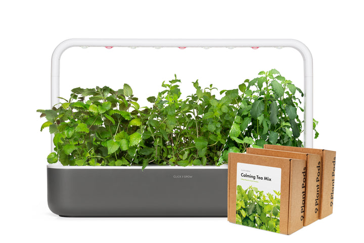 Big "Herbal Tea" Kit