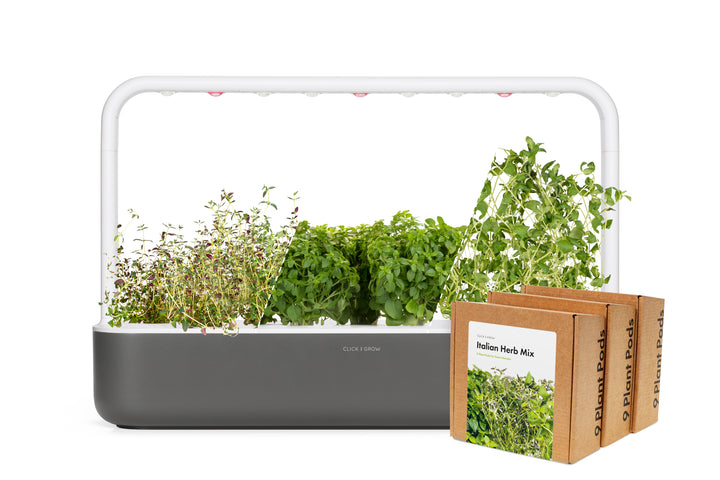 Big "Italian Herb" Kit
