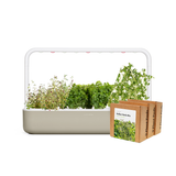 Big "Italian Herb" Kit