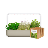 Big "Steak Seasoning" Kit