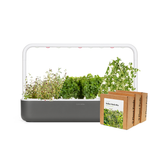 Big "Italian Herb" Kit