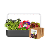 Big "Vibrant Flower" Kit