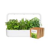 Big "Herbal Tea" Kit