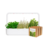 Big "Steak Seasoning" Kit