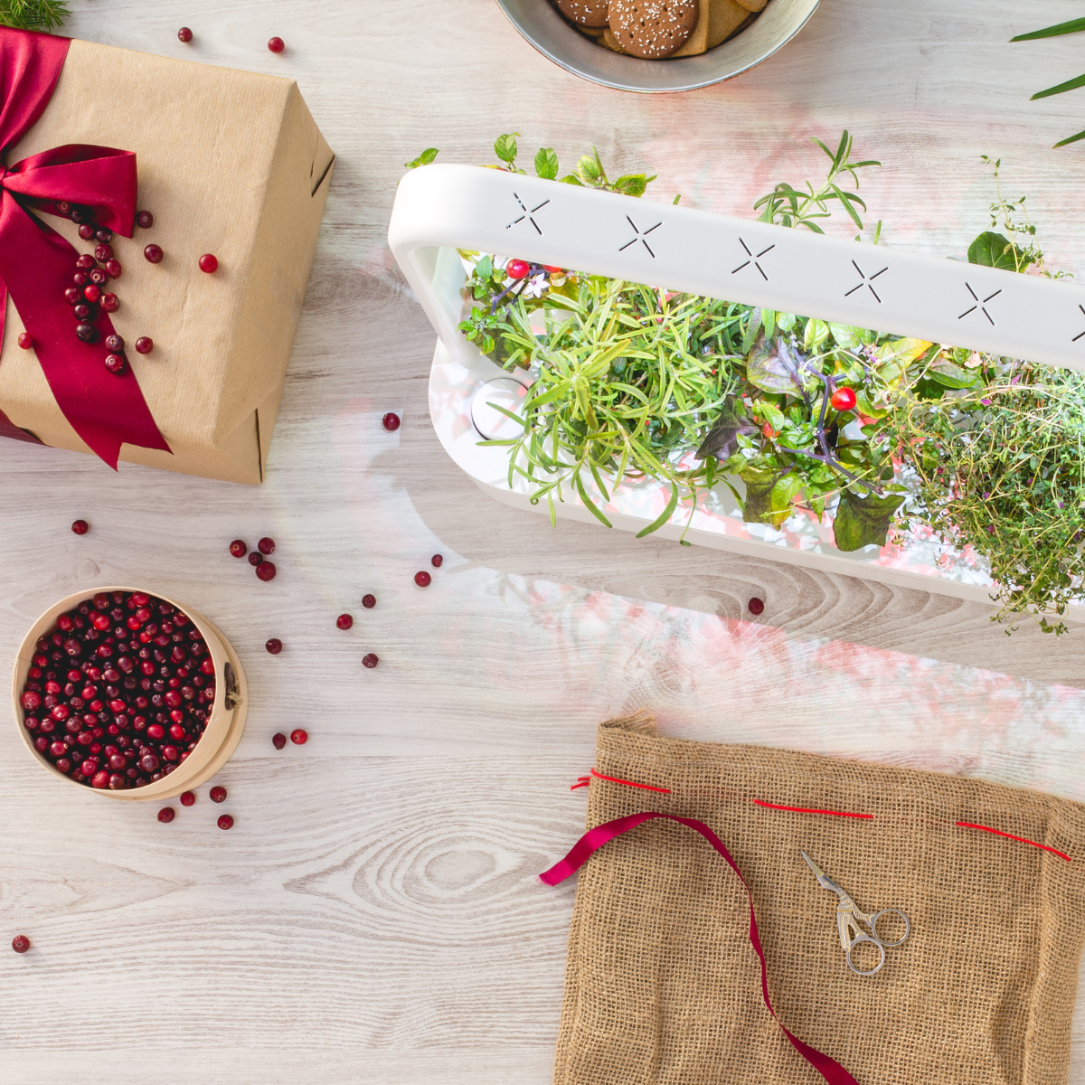 Best Gift Under $200 / Best Gift Under $200