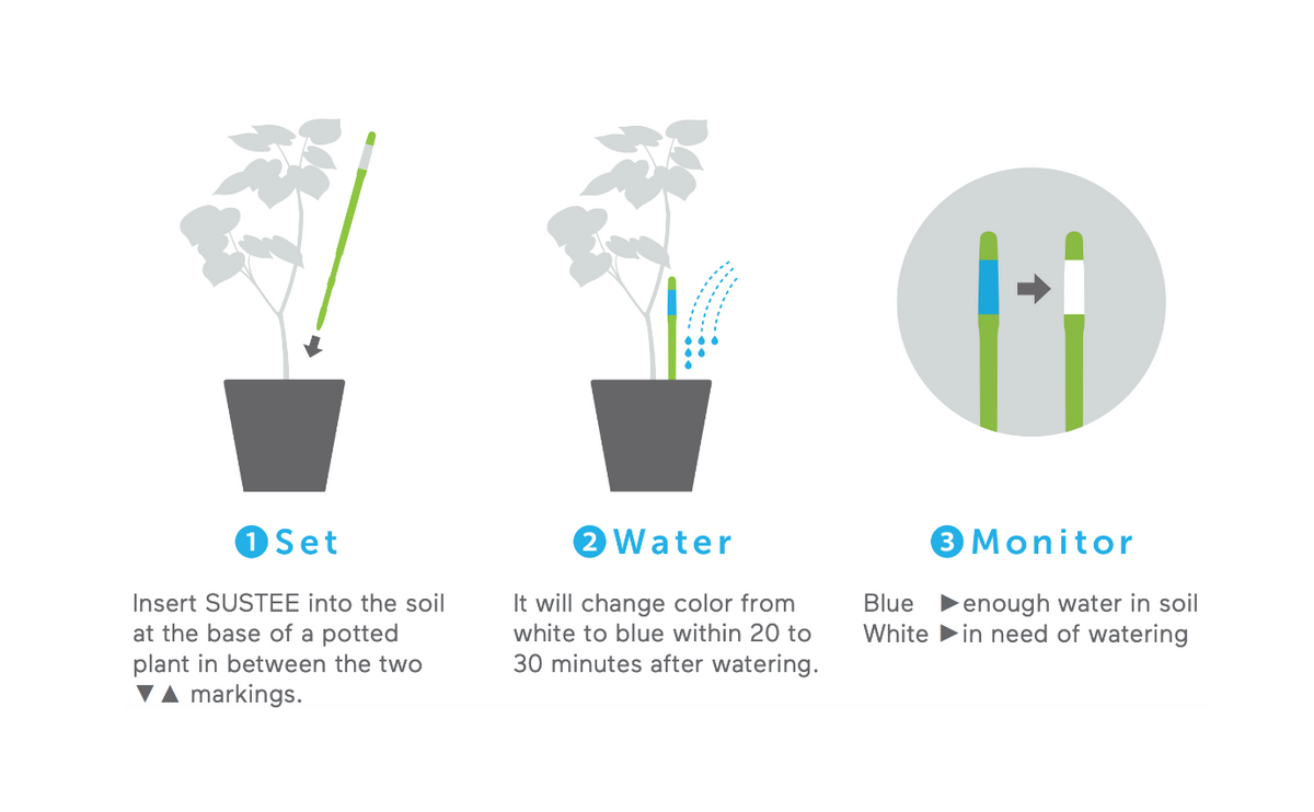 Plant Watering Indicator, Size L / Plant Watering Indicator, Size L