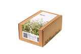Thyme Plant Pods 30-pack
