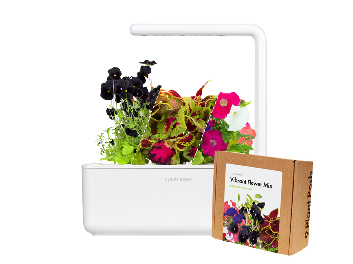 Small "Vibrant Flower" Kit