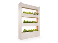 The Wall Farm Indoor Vertical Garden / The Wall Farm Indoor Vertical Garden side view