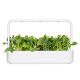 Pak Choi Plant Pods 9-pack