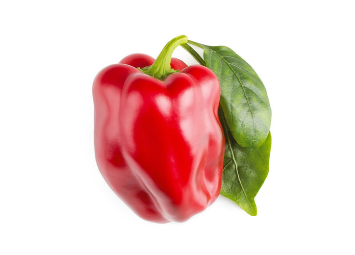 Red Sweet Pepper Plant Pods 9-pack