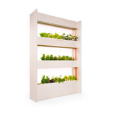 The Wall Farm Indoor Vertical Garden