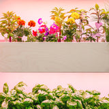 The Wall Farm Indoor Vertical Garden