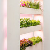 The Wall Farm Indoor Vertical Garden