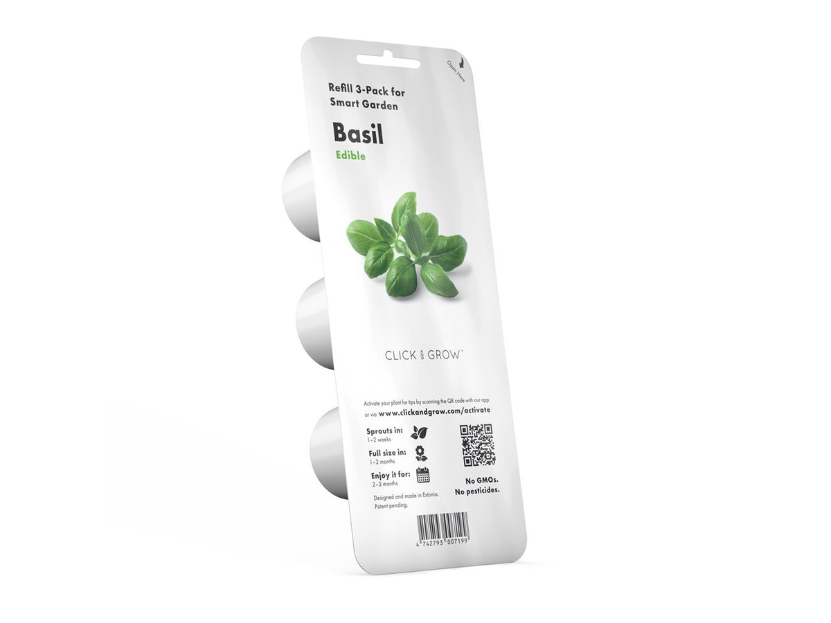 Basil Plant Pods / Basil Plant Pods