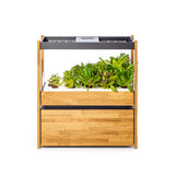 Click & Grow 25 Storage Drawer