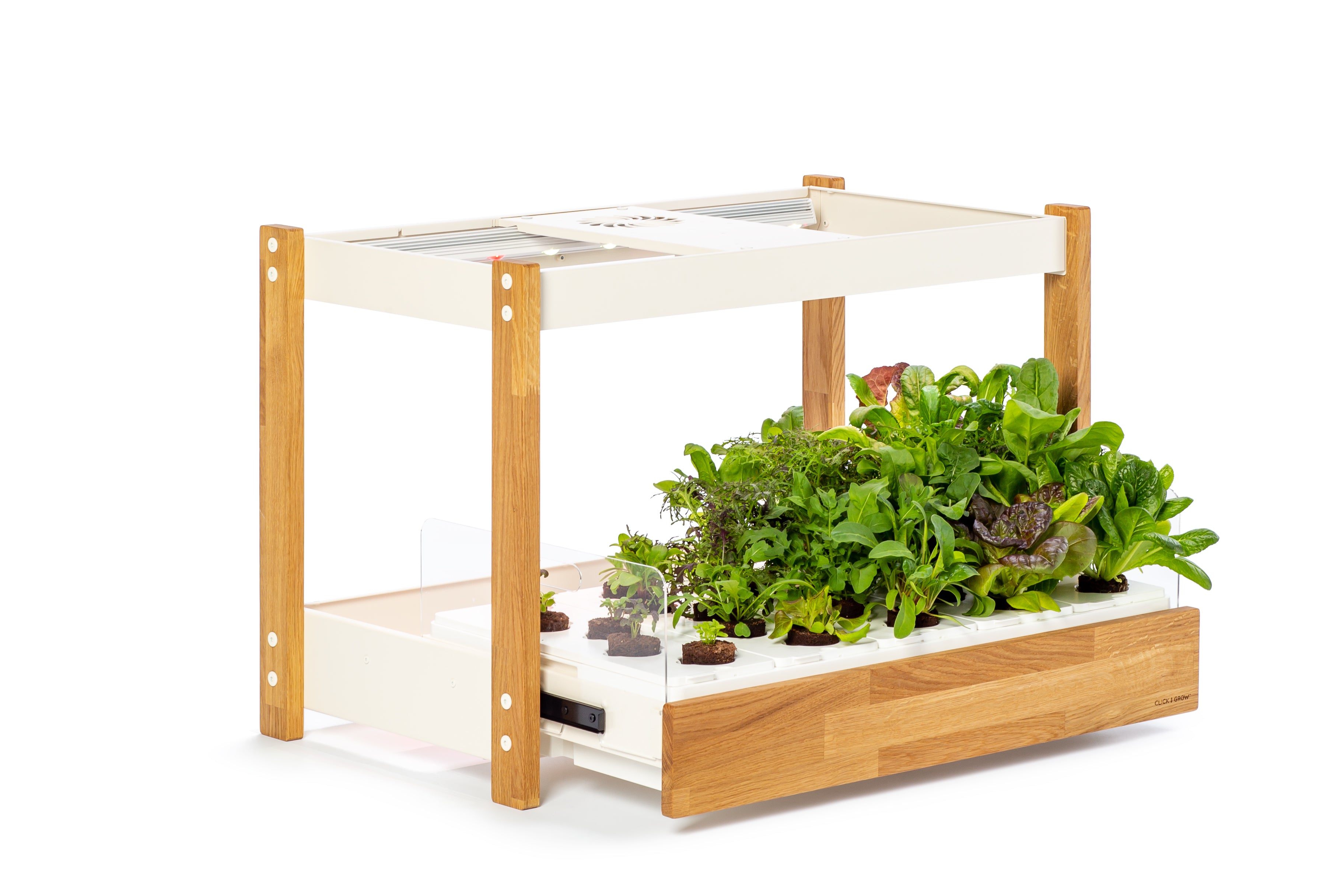 The Click & Grow 25 - Indoor garden for healthy, fresh home-grown leafy  greens – Click & Grow Canada