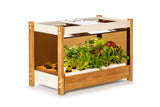 Click & Grow 25 Glass and Fan Kit