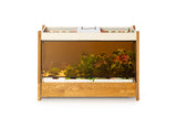 Click & Grow 25 Glass and Fan Kit