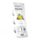Calendula Plant Pods 3-pack