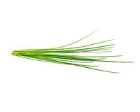 Chives Plant Pods / Chives Plant Pods