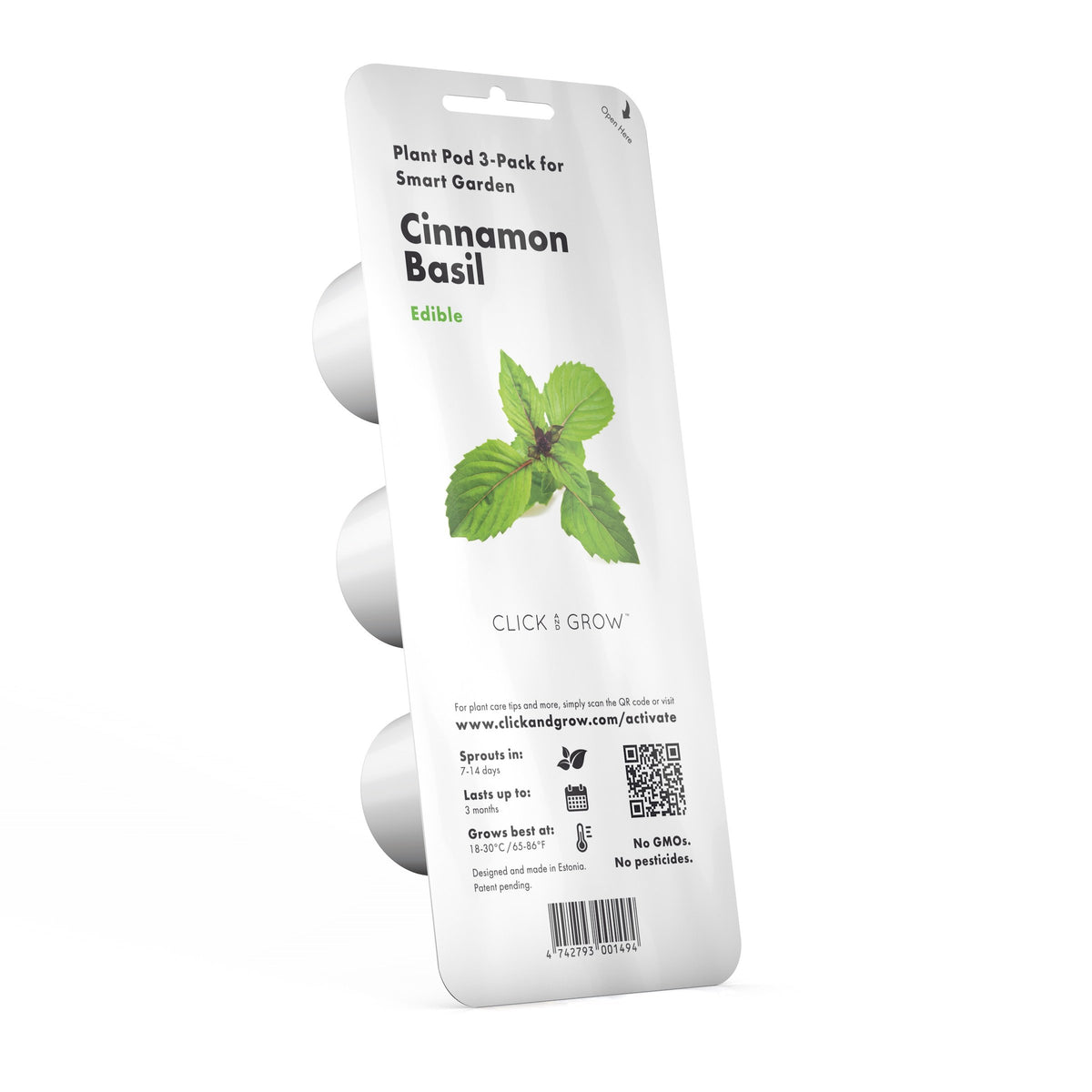 Cinnamon Basil Plant Pods / Cinnamon Basil - grow basil at home with a smart indoor herb garden