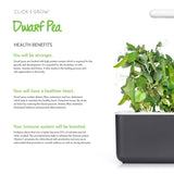 Dwarf Pea Plant Pods 3-pack