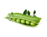 Dwarf Pea Plant Pods 3-pack