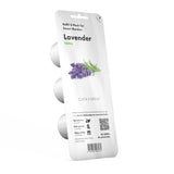 Lavender Plant Pods 3-pack