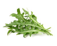 Leaf Mustard Plant Pods / Start growing leaf mustard (Brassica juncea) indoors. Click & Grow indoor gardens.Leaf Mustard