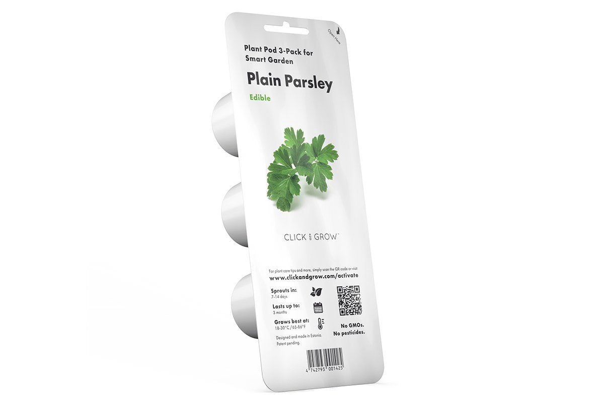 Plain Parsley Plant Pods / Plain Parsley Plant Pods