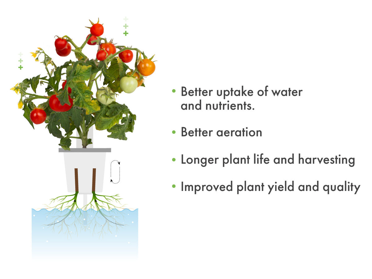 Pro Plant Cups - perforated cups for increased yield (9 pcs) / Pro Plant Cups - perforated cups for increased yield (9 pcs)