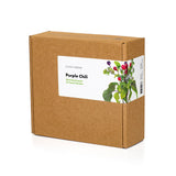 Purple Chili Pepper Plant Pods 3-pack