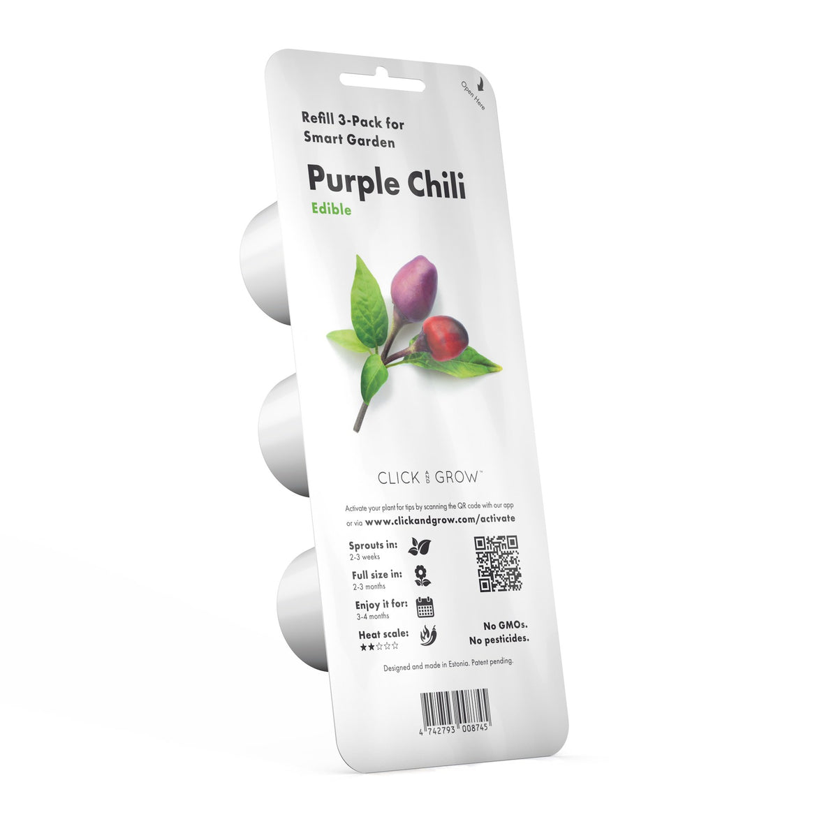 Purple Chili Pepper Plant Pods / Purple Chili Pepper Plant Pods