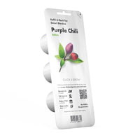 Purple Chili Pepper Plant Pods / Purple Chili Pepper Plant Pods
