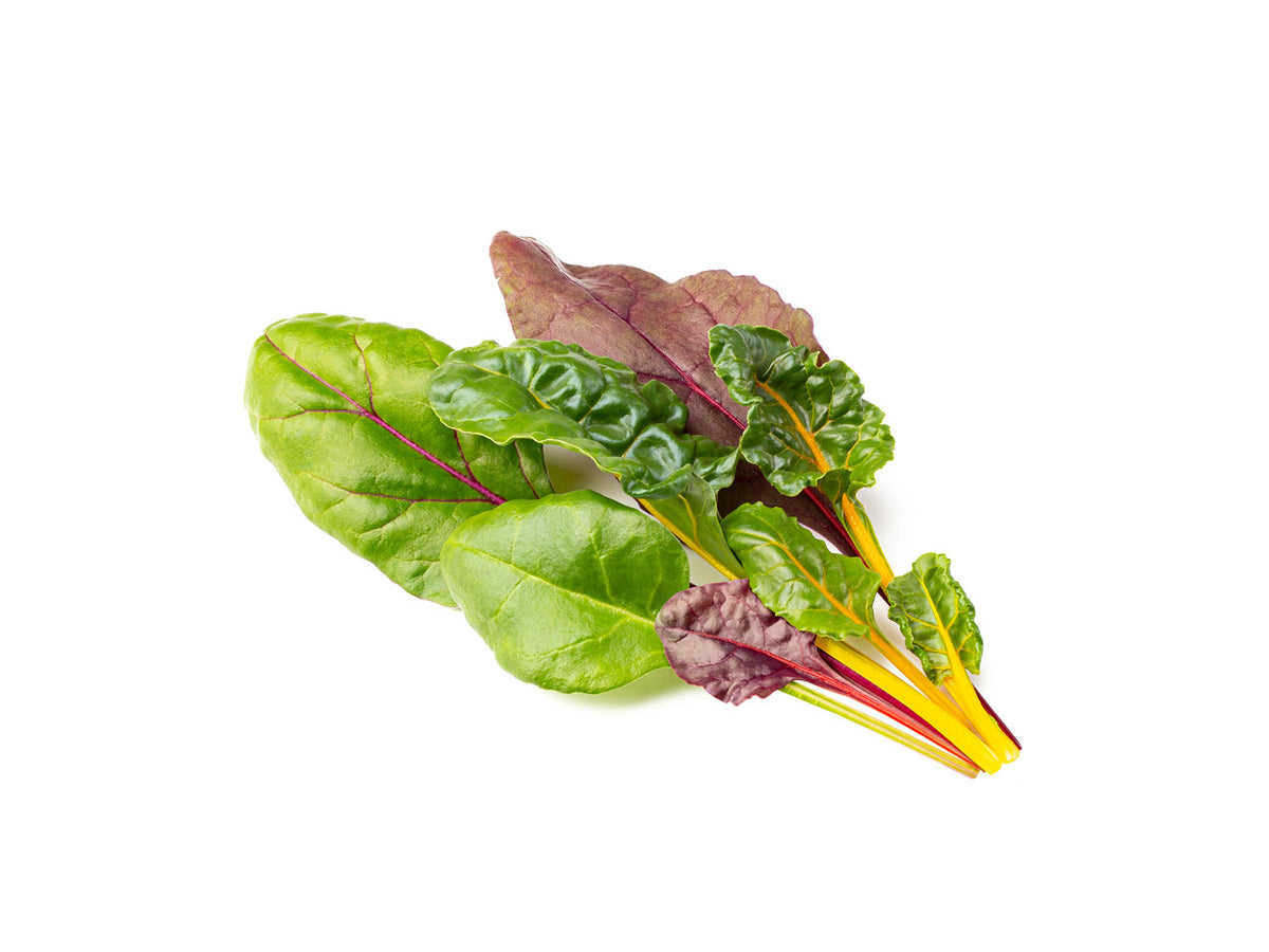 Rainbow Chard Plant Pods / Rainbow Chard Plant Pods