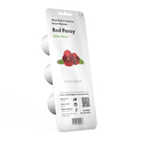Red Pansy Plant Pods 3-pack
