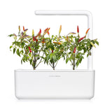 Red Hot Chili pepper capsule - Click & Grow indoor herb garden - Grow Chili Pepper at home with an indoor garden