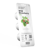Wild Strawberry Plant Pods / Wild Strawberry Plant Pods