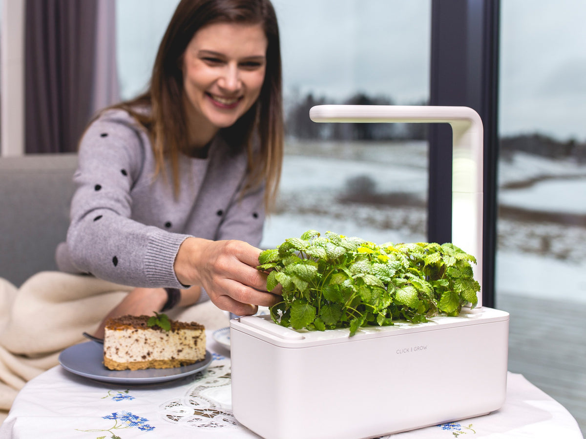 The Smart Garden 3 / Grow herbs all year round with a smart indoor garden. Grow fresh basil, fresh cilantro and many more with the Click & Grow plant growing kit called the smart indoor garden. 