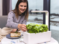 The Smart Garden 3 / Grow herbs all year round with a smart indoor garden. Grow fresh basil, fresh cilantro and many more with the Click & Grow plant growing kit called the smart indoor garden. 